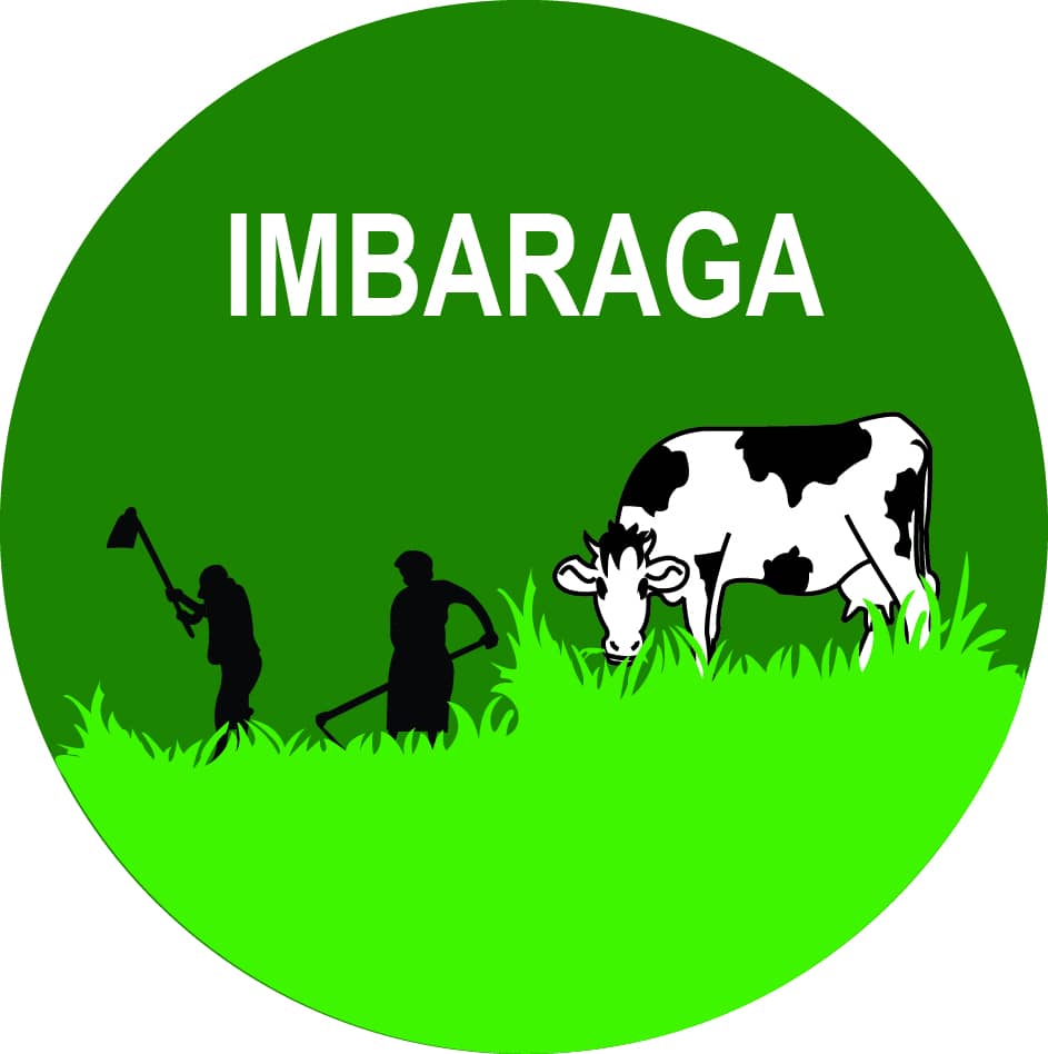 IMBARAGA 