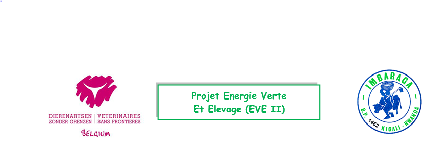 Bénéficiaires Apprecient l’Appuis de VSF-B et IMBARAGA à Travers le Projet EVE : Témoignage de NTAKIRUTIMANA DEBORAH 
